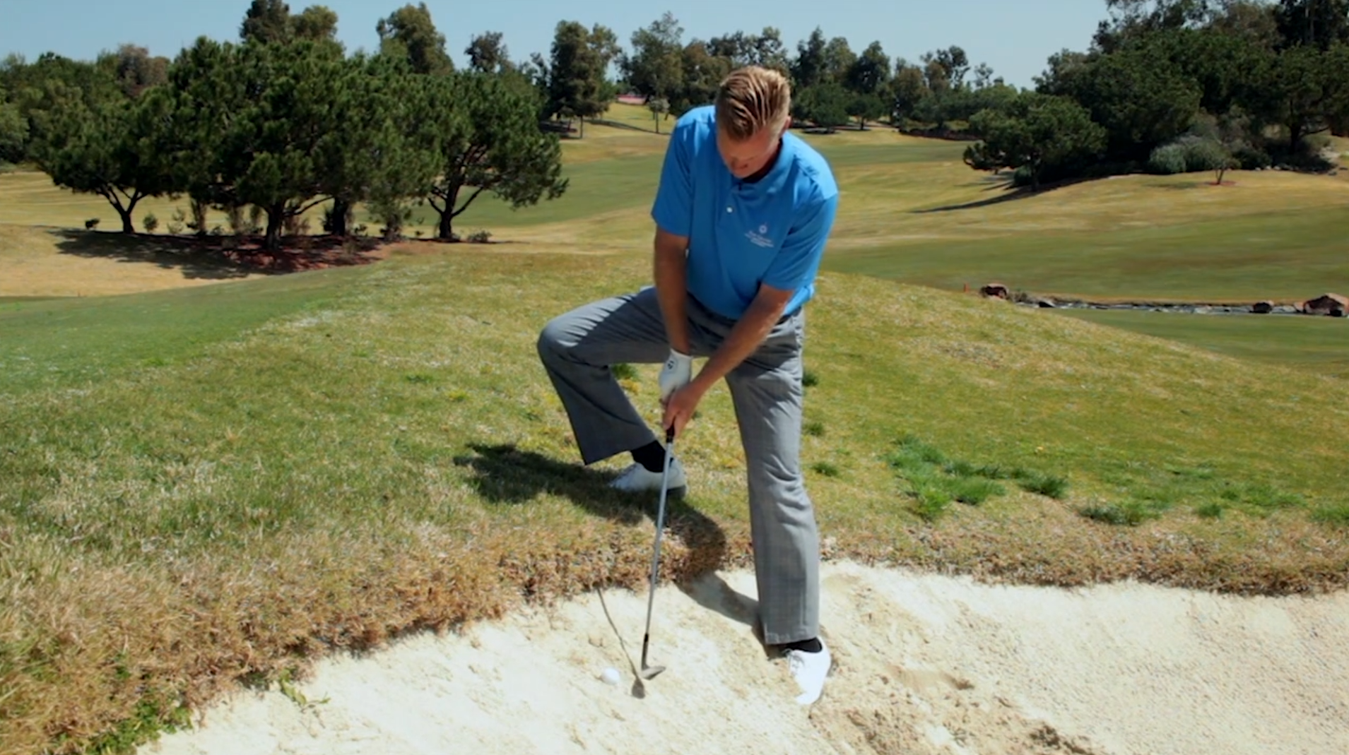 Shawn Cox: 'Fried Egg' - Golf Life