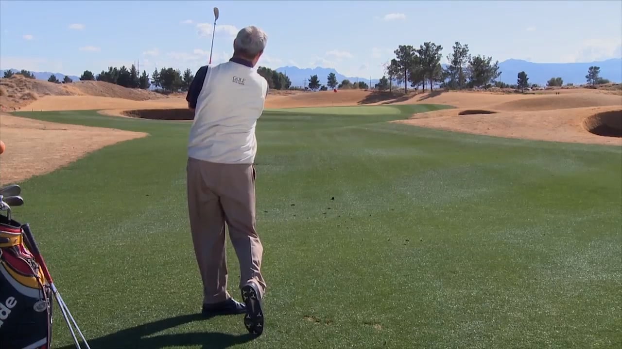 Mike Davis: Shot Option